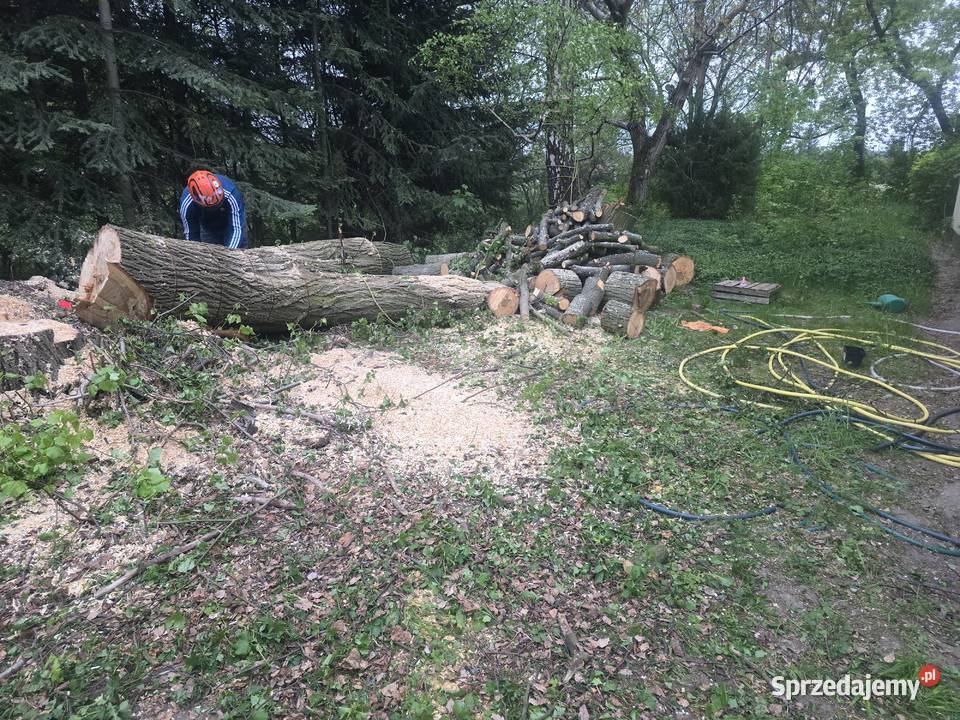 Wycinka drzew Przycinanie koron drzew i Legionowo