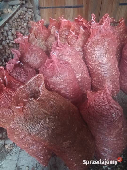 Zrębki z drzew liściastych Biecz