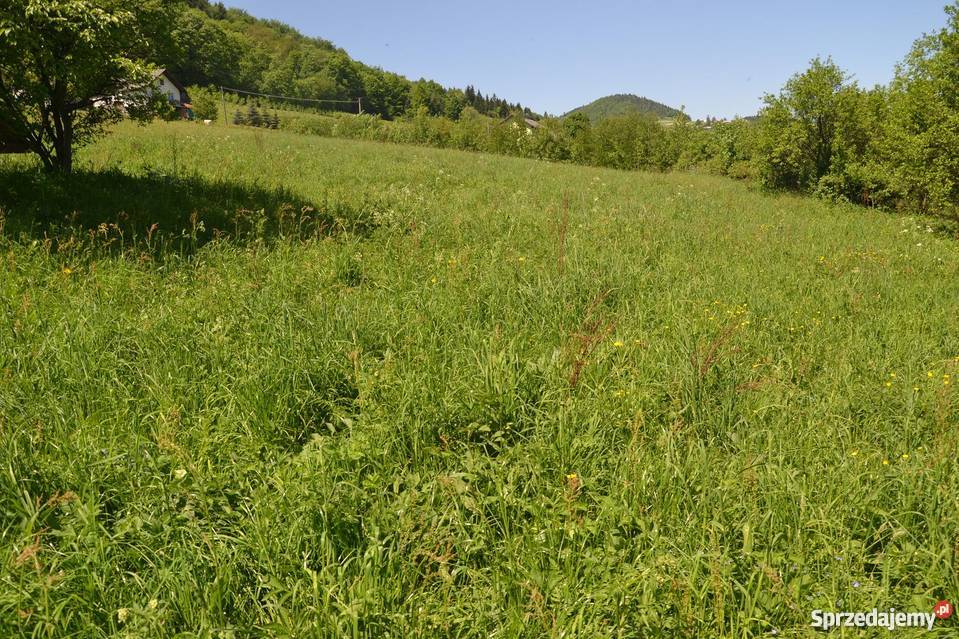 Działka gospodarstwo rolne Łukowica rolna małopolskie Łukowica sprzedam