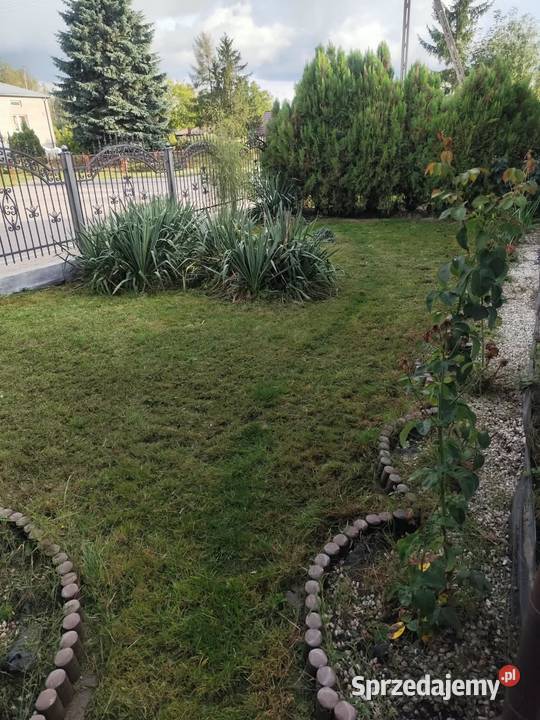 Dom 80 m działka 920 m Paszki Duże gm Radzyń 920m2