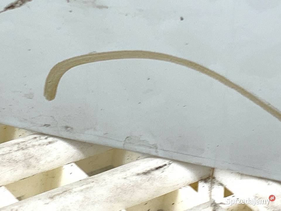 DRZWI LEWY PRZÓD OPEL MOVANO B Bus