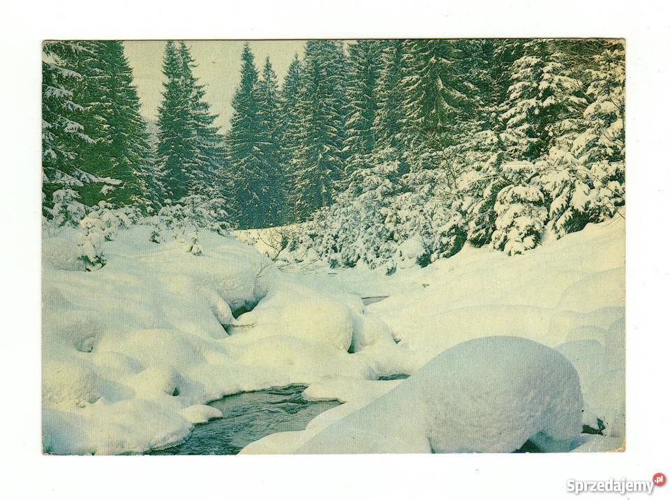 BESKID ŚLĄSKI DOLINA CZARNEJ WISEŁKI POCZTÓWKA Krynki