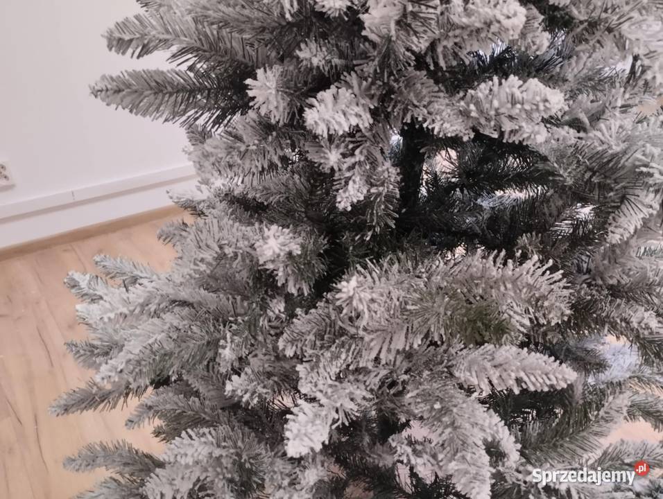 Choinka na święta dolnośląskie Jelenia Góra