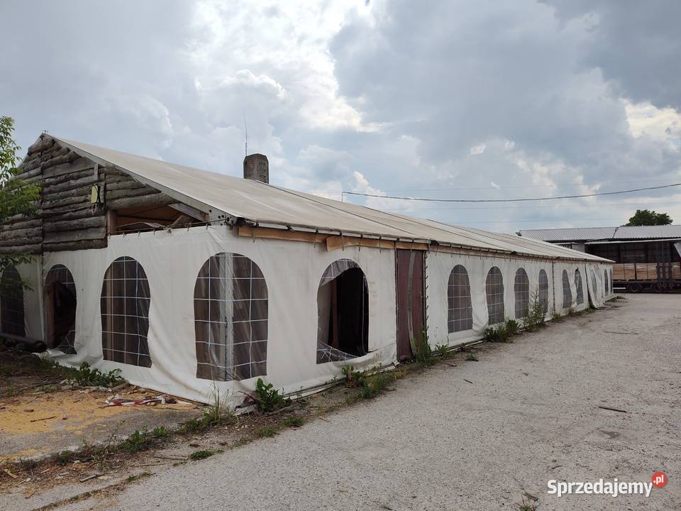 Syndyk sprzedaje namiot plandekowy byłym Markizy i osłony Gdynia sprzedam