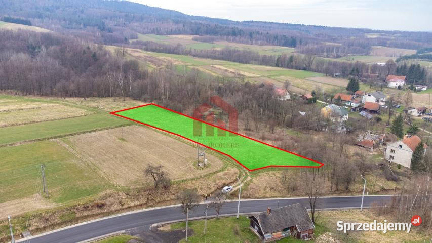 sprzedaży gruntu Żyznów 2240m2 woda Sprzedaż