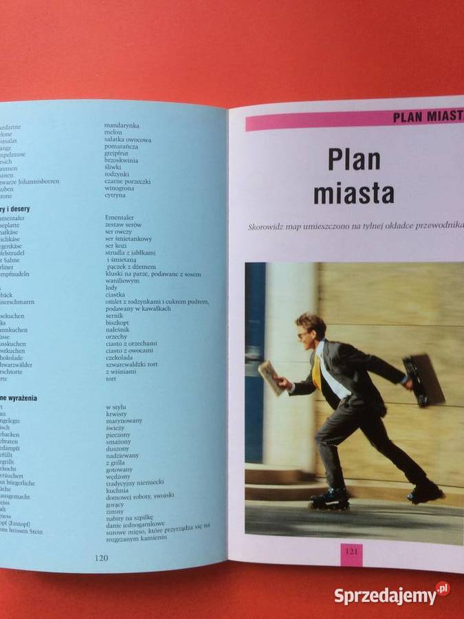 2608 Przewodnik Berlin i Poczdam Szczecin sprzedam