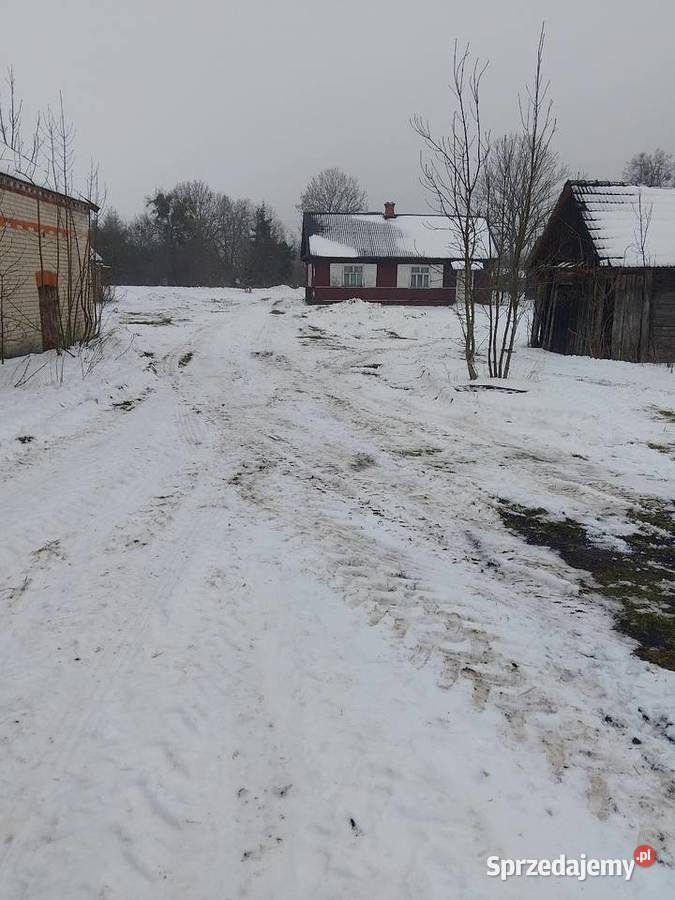 Siedlisko we wsi Krasówka Sprzedaż lubelskie Włodawa sprzedam