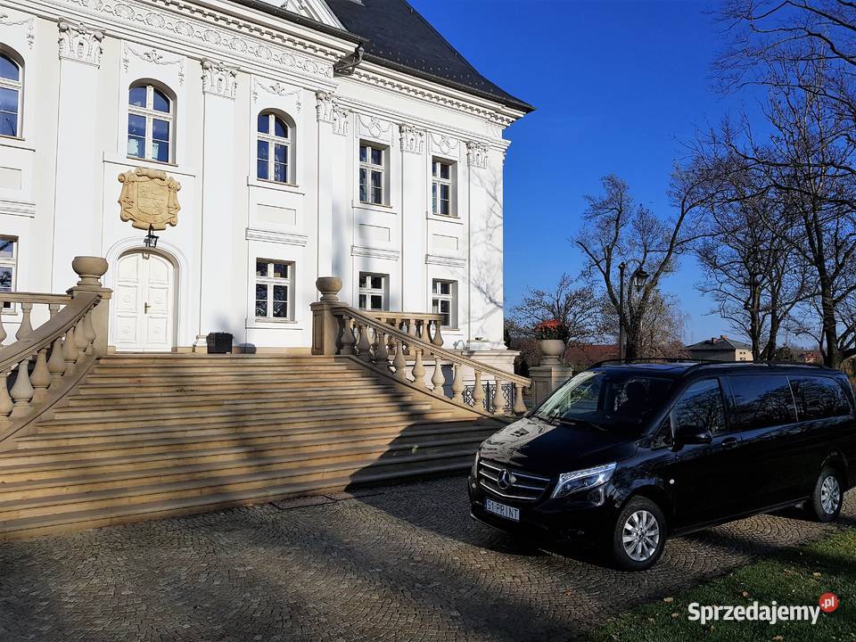 Wynajem busów z kierowcą przewóz osób bus Vip Katowice