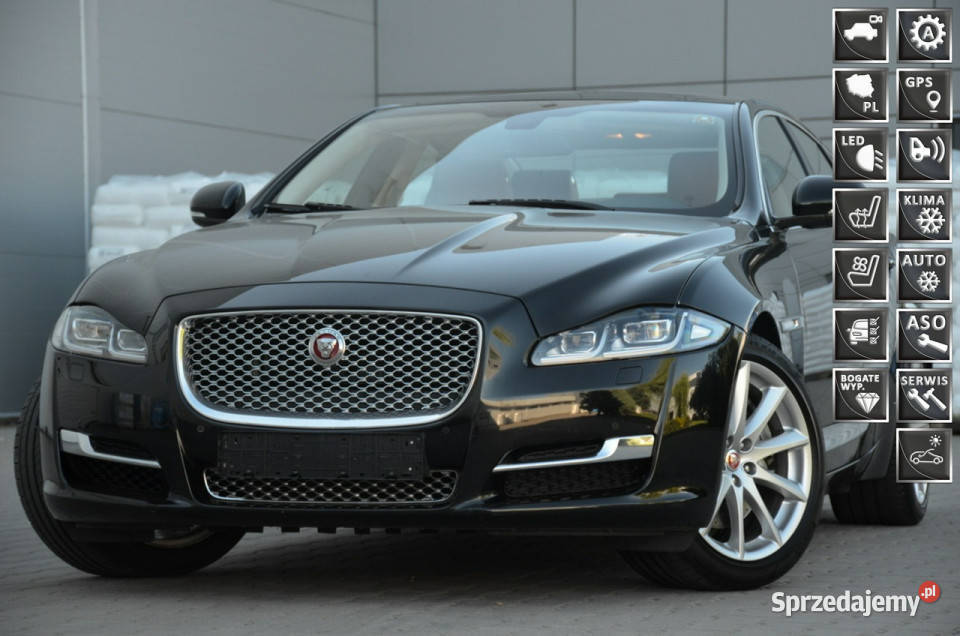 Jaguar XJ 30D 300 Lift Serwis Full LED Kamera immobilizer Kutno