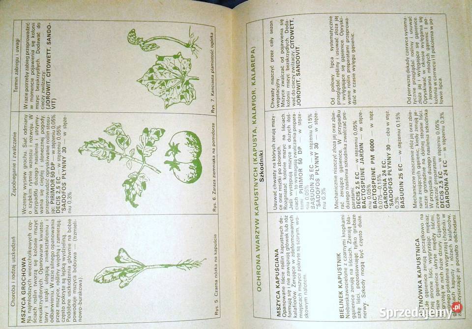 Zalecenia dotyczące ochrony roślin w Chełm