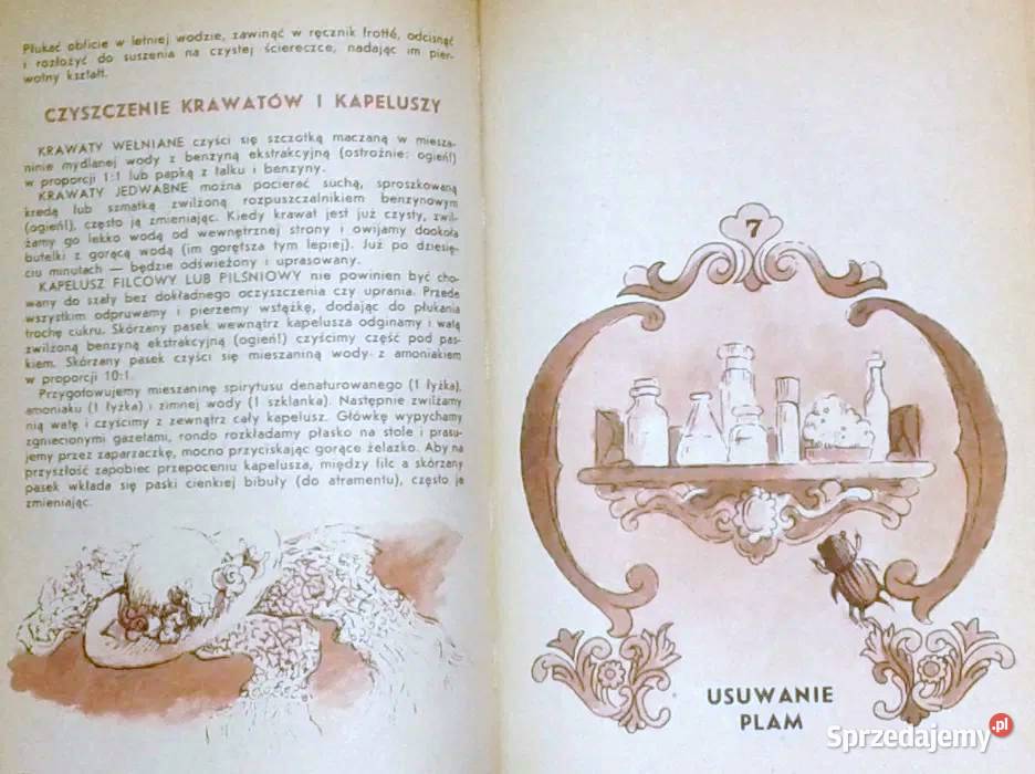 ABC porządków domowych Zofia Dzięgielewska