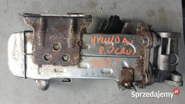 Chłodnica spalin Hyundai 20 CRDI 284162F140 Suchedniów