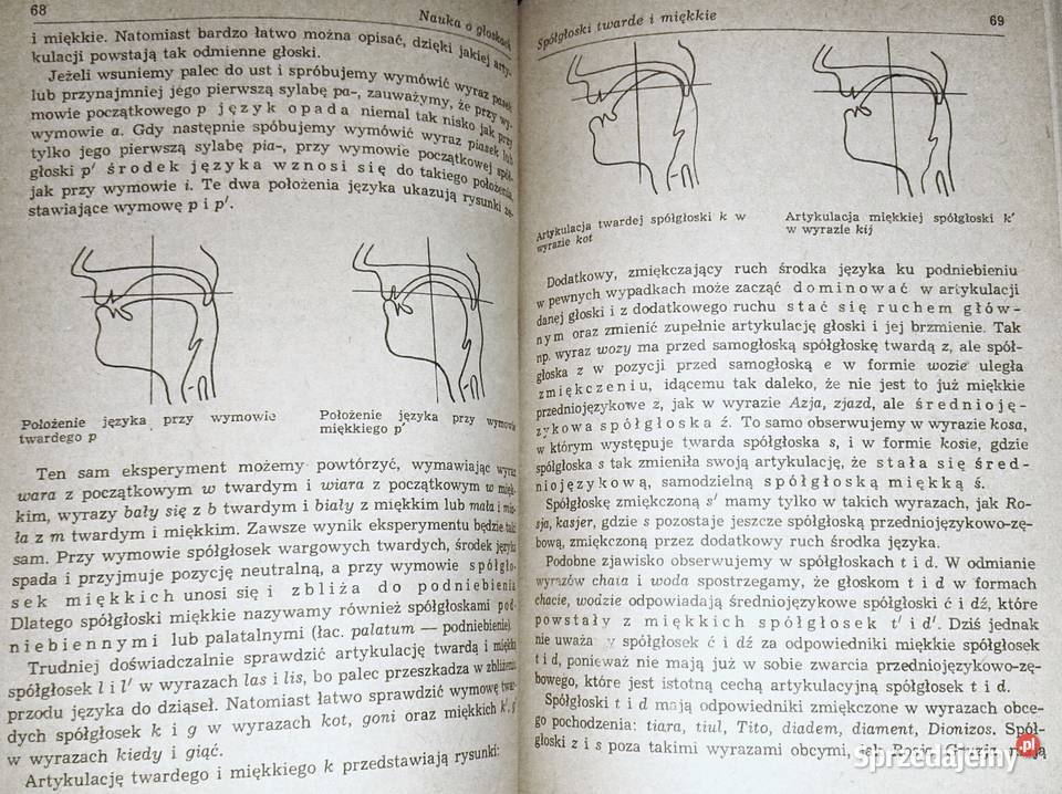 Gramatyka języka polskiego Zarys popularny Piotr Chełm