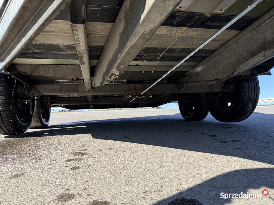 Boeckman 2006 r alupodloga koni VAT marża Solnica