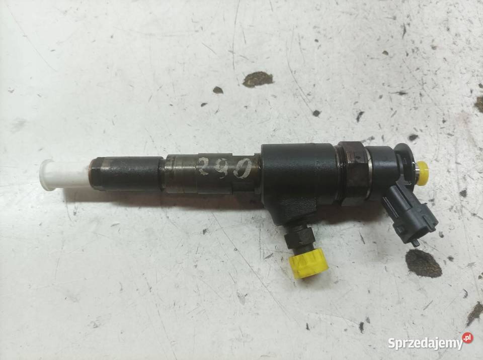 WTRYSKIWACZ 0445110252 565889 14 HDI Citroen Rok produkcji 2009