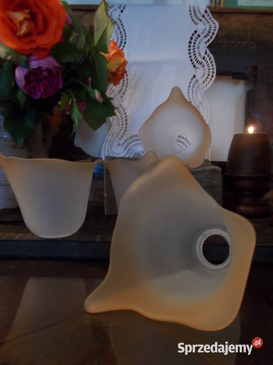 Piękny Klosz Kwiat Kalii Grube Szkło Lata 90 zachodniopomorskie Szczecin