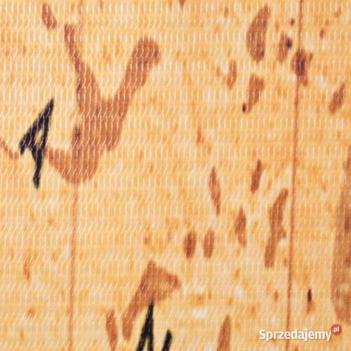 vidaXL Składany parawan 160x170 nadruk mapy Warszawa