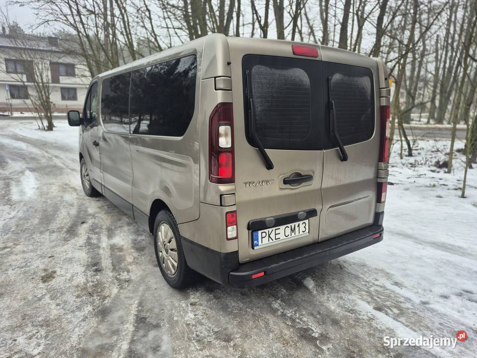 Wynajem Bus 9 osobowy Wynajem pojazdów