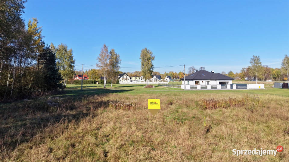 sprzedaży gruntu 4400m2 Buczków sprzedam