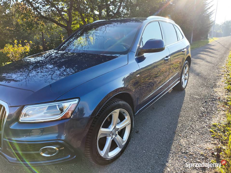 Q5 2016r Quattro 20 224