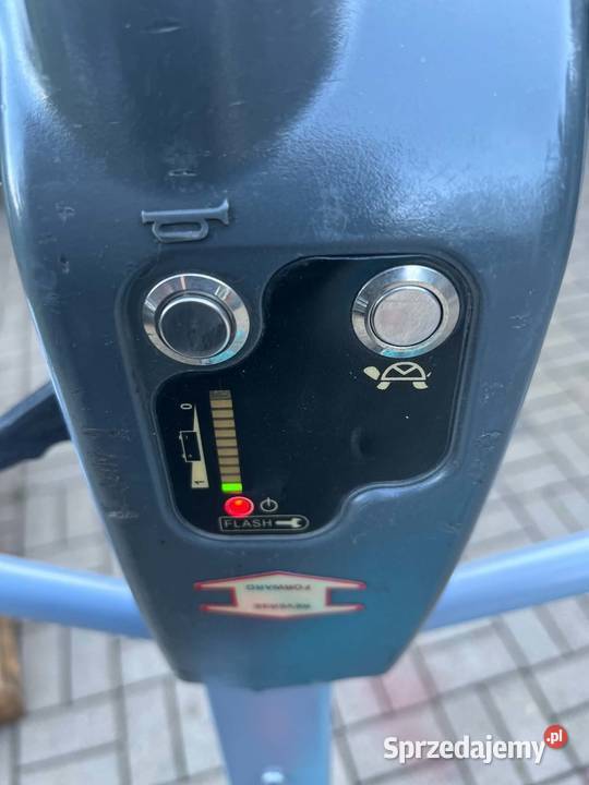 Paleciak elektryczny