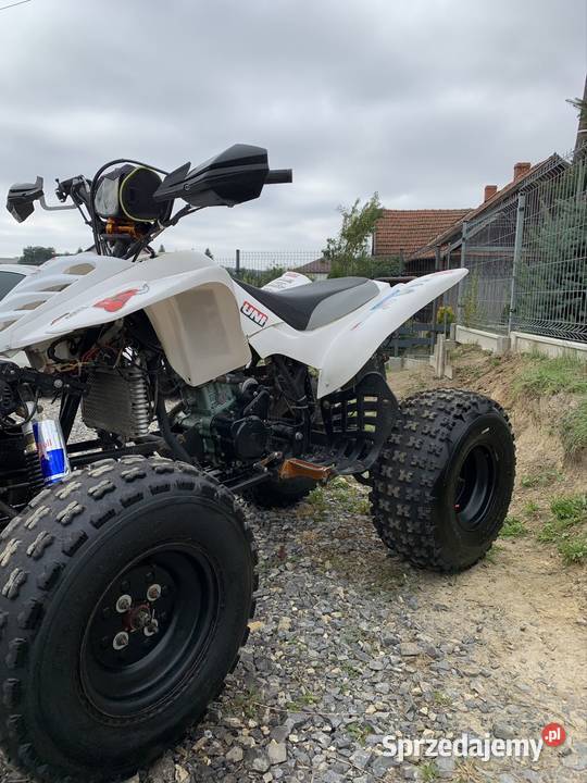 Bashan 250 chłodzony cieczą plug przyczepka 30KM Niedźwiedź