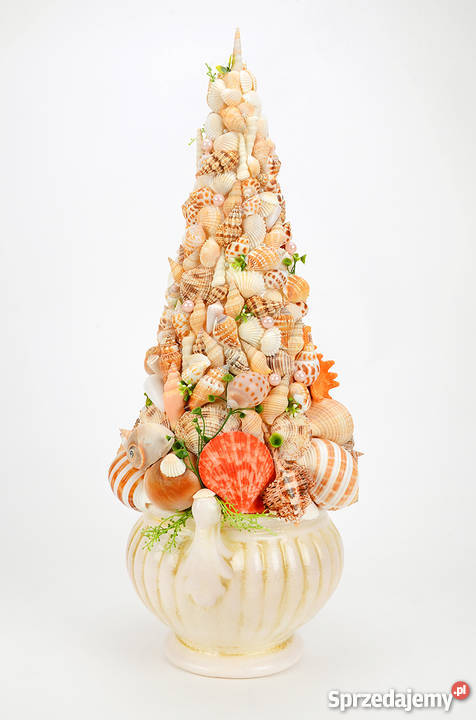 Stroik z muszli morskich pomorskie Pruszcz Gdański