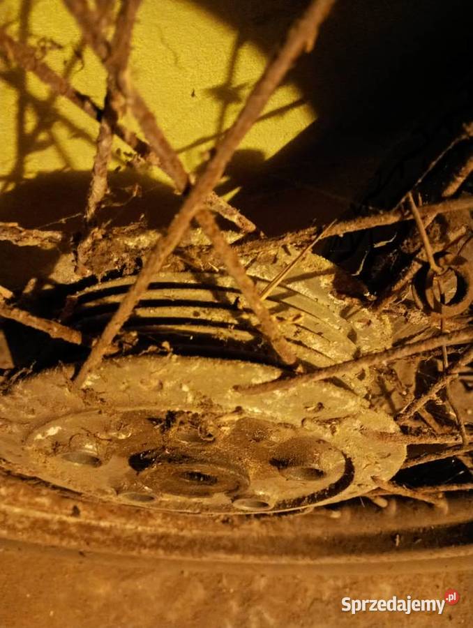 Koła w WSK 125 z Motoryzacja Lubliniec