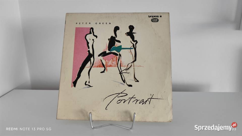 Płyty Winylowe Duża ilość Wiązów