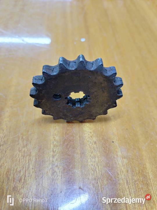 Zębatka sprzęgłowa 17 z SHL m11