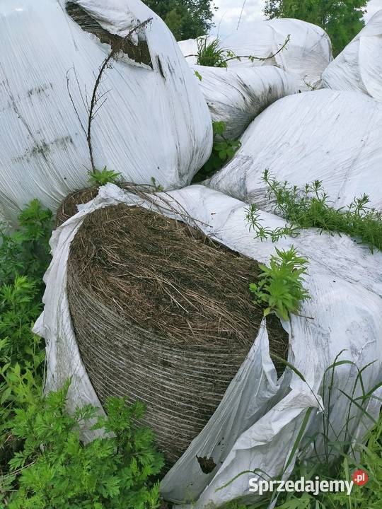 Siano słoma Sianokiszonka na podściał Pace
