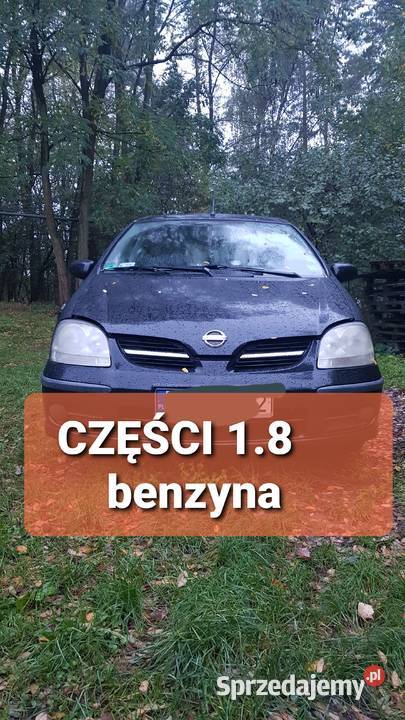 Sworzen dolny Nissan Almera Tino 18 części Sworznie wahaczy Szadek