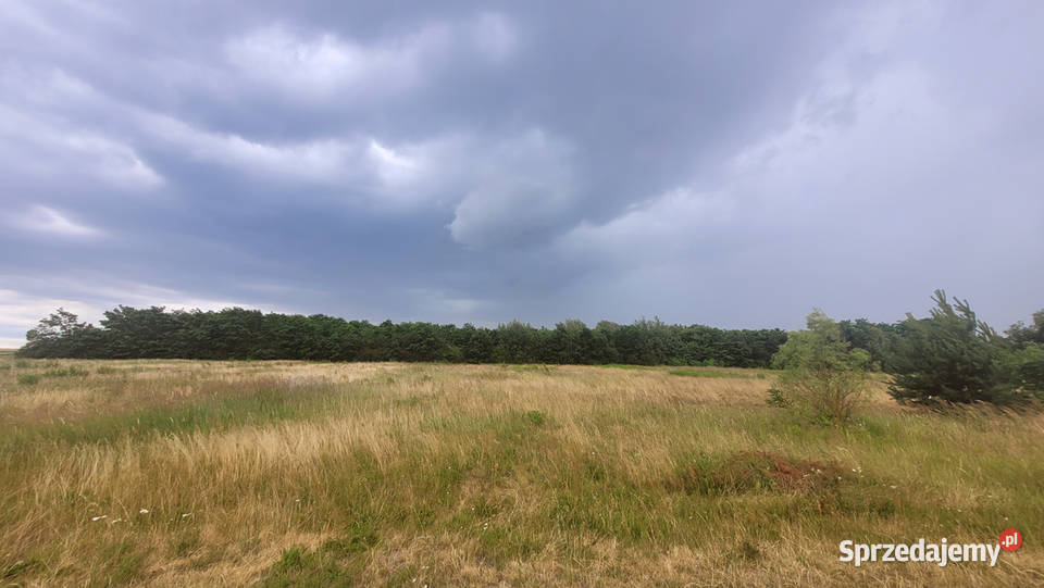 Działka budowlana 779m2 Strożyska Gm Nowy 779m2 sprzedam
