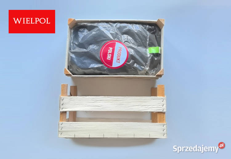 Opakowania na sadzonki truskawek Sprzedaż Produkcja roślinna Wielichowo