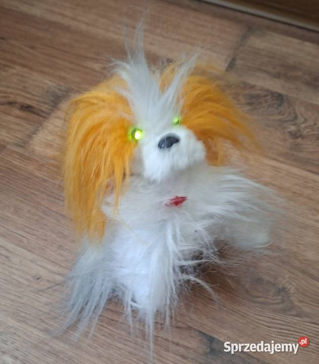 Maskotka tańczący pies Zielona Góra