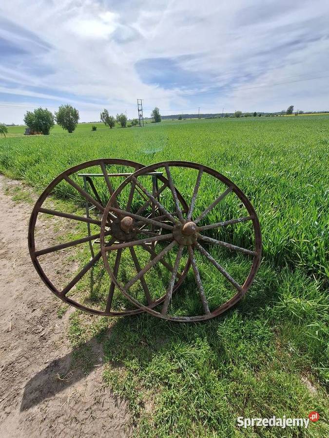 Sprzedam 6 kół siewnikzgrabiarka konna Brzyskorzystew