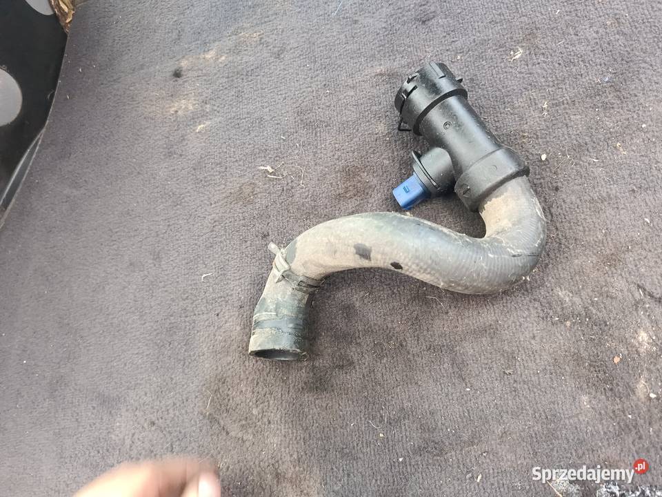 Wąż Przewód Chłodnicy Z Czujnikiem Audi A4 B5 Motoryzacja