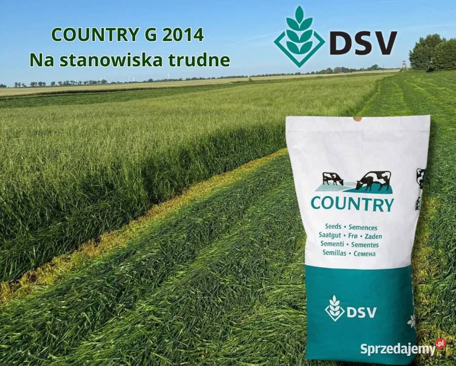 Mieszanka traw na trudne stanowiska DSV COUNTRY Tarnowska Wola