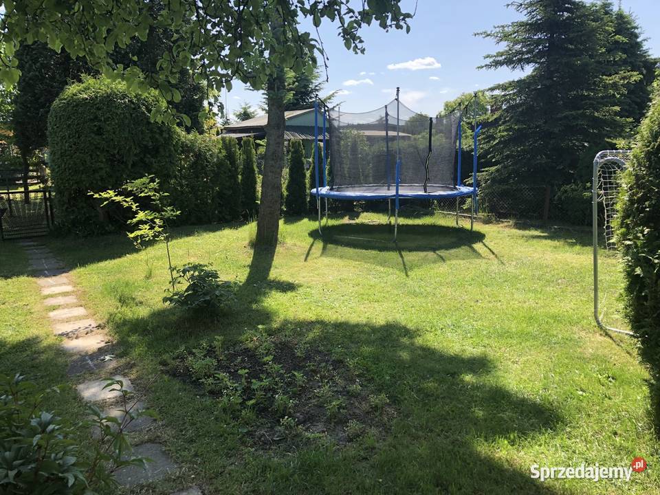 Działka rekreacyjna ROD Słoneczna Polana rekreacyjna Piotrków Trybunalski