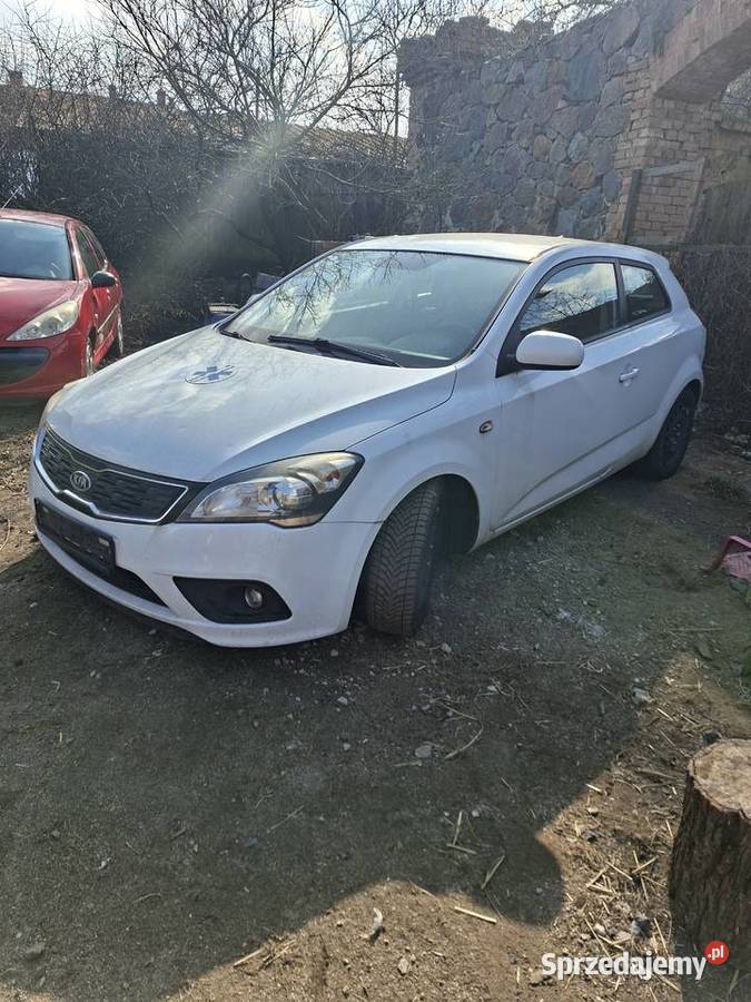 Kia ceed diesel Niegosławice