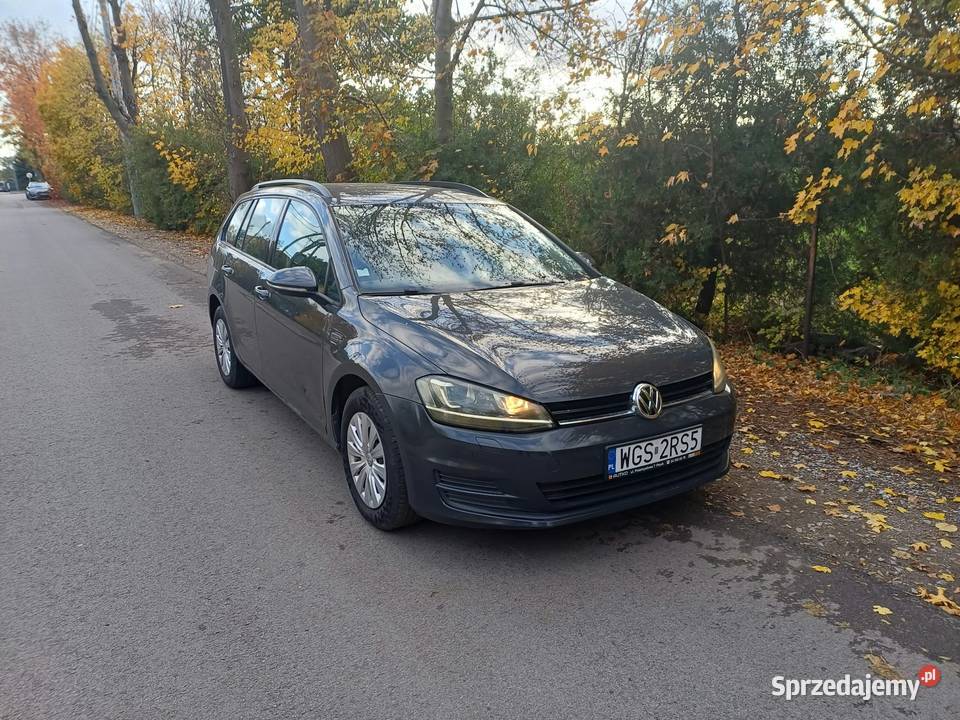 Volkswagen Golf 16 TDI 110 diesel Pacyna