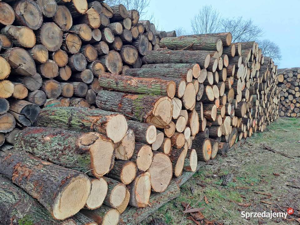 Sprzedam Drewno DAB S2B Opał Zgierz
