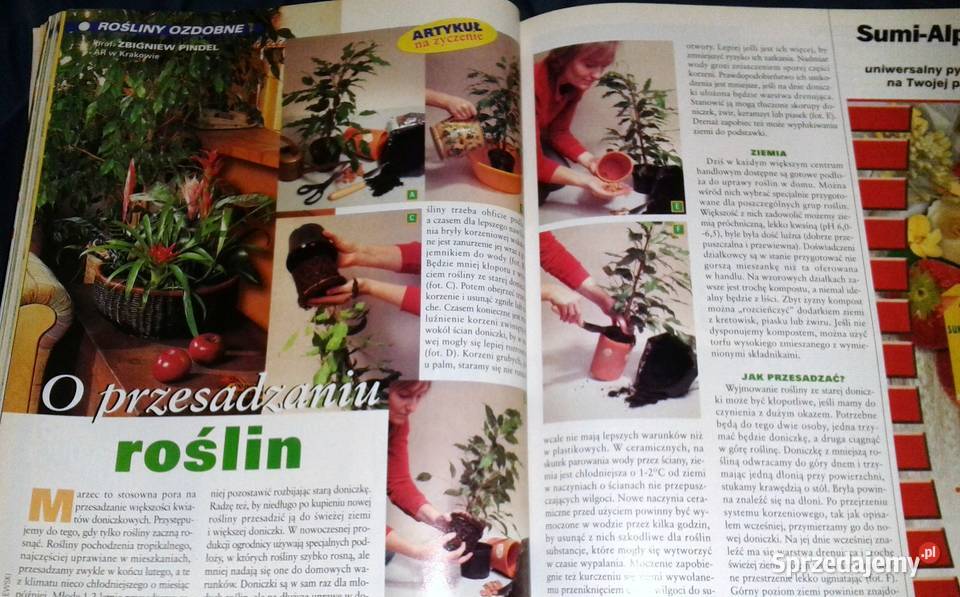 Twój ogród na to zasluguje Działkowiec 2004 12 Książki i Podręczniki Chełm