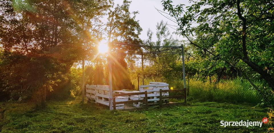 Ogródek działkowy Czeladź Piaski Grunty i działki