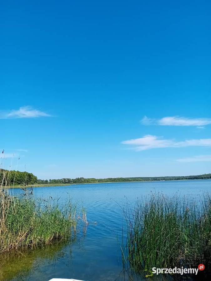 Wydzierżawię działki rekreacyjne Laskowice
