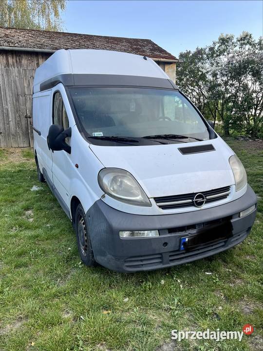 Vivaro 19 Lublin 7700 tysi