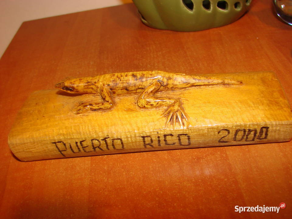 jaszczurka nadrzewna Puerto Rico Pruszcz Gdański