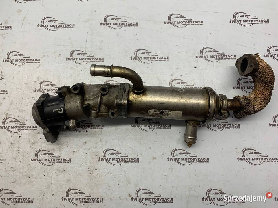 LAND ROVER DISCOVERY 27 D 276DT 190 chłodniczka świętokrzyskie Kielce