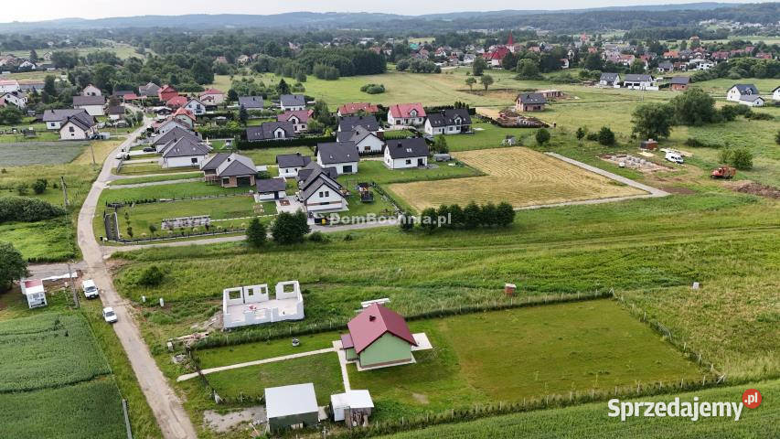 Grunt Krzeczów 2000m2