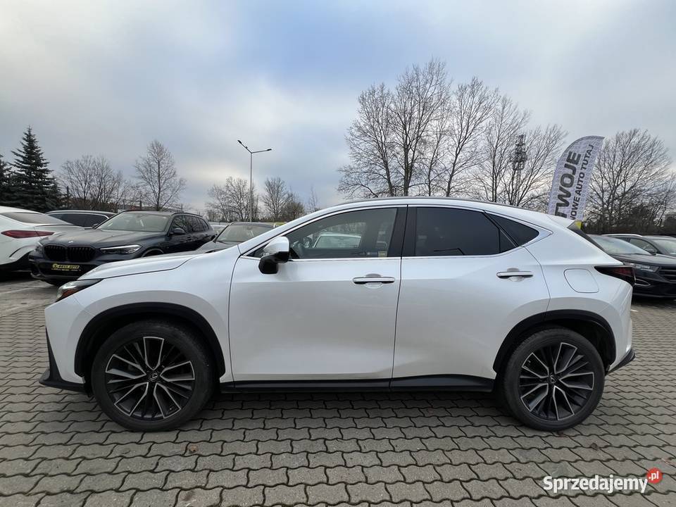 Lexus NX 300 2022 system Start-Stop NX